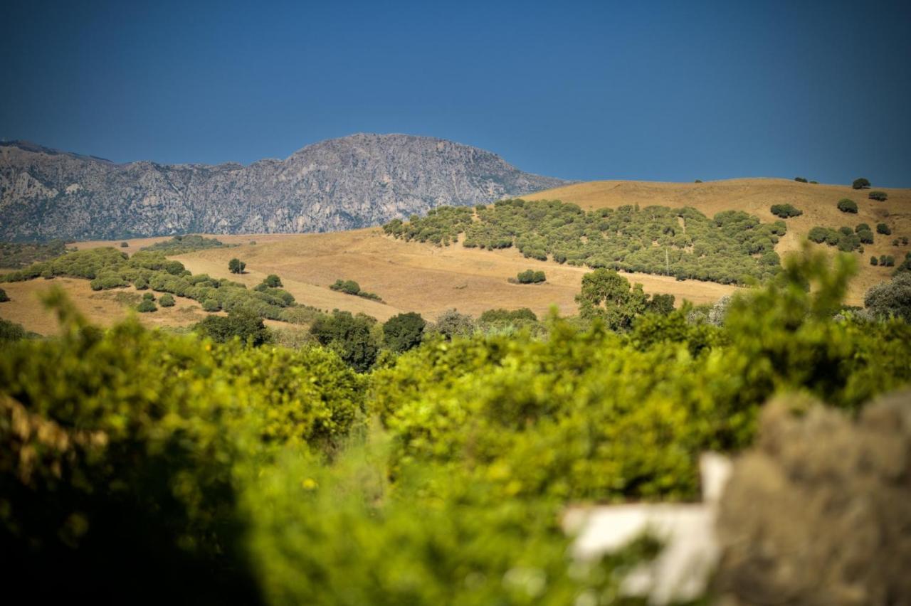 Finca Los Pajaros San Pablo Kültér fotó